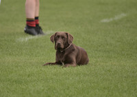 Kelso Sept 2021